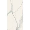 КЕРАМОГРАНИТ I CLASSICI STATU. 6MM SOFT 120X240 RET
