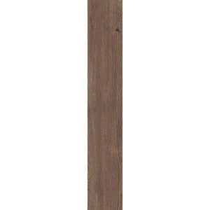 КЕРАМОГРАНИТ 4 SEASONS  CHOCOLATE     NAT R20X120