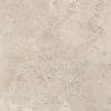 КЕРАМОГРАНИТ PTR.VIVA BEIGE ANT R120X120