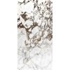 КЕРАМОГРАНИТ  BIJOUX BRECHE CAPRAIA MAT 6MM 160X320 — изображение 2