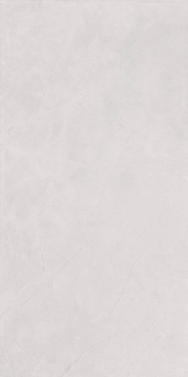 КЕРАМОГРАНИТ REALISTIK FOG BIANCO MATT CARVING 60X120 — изображение 2