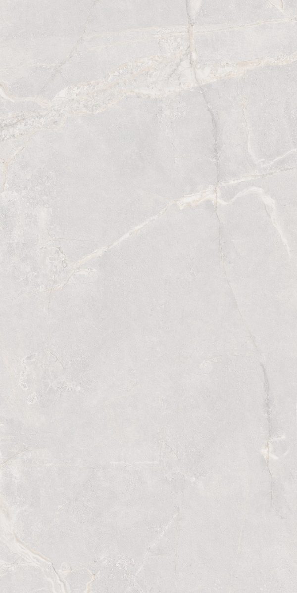 КЕРАМОГРАНИТ REALISTIK MIA WHITE SUGAR CARVING 60X120 — изображение 6