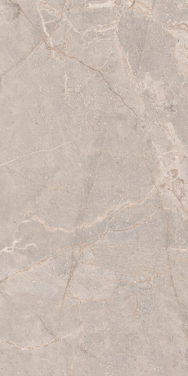 КЕРАМОГРАНИТ REALISTIK MIA LIGHT SUGAR CARVING 60X120 — изображение 7