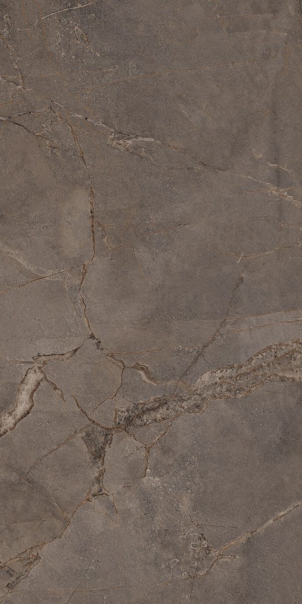 КЕРАМОГРАНИТ REALISTIK MIA DARK SUGAR CARVING 60X120 — изображение 2