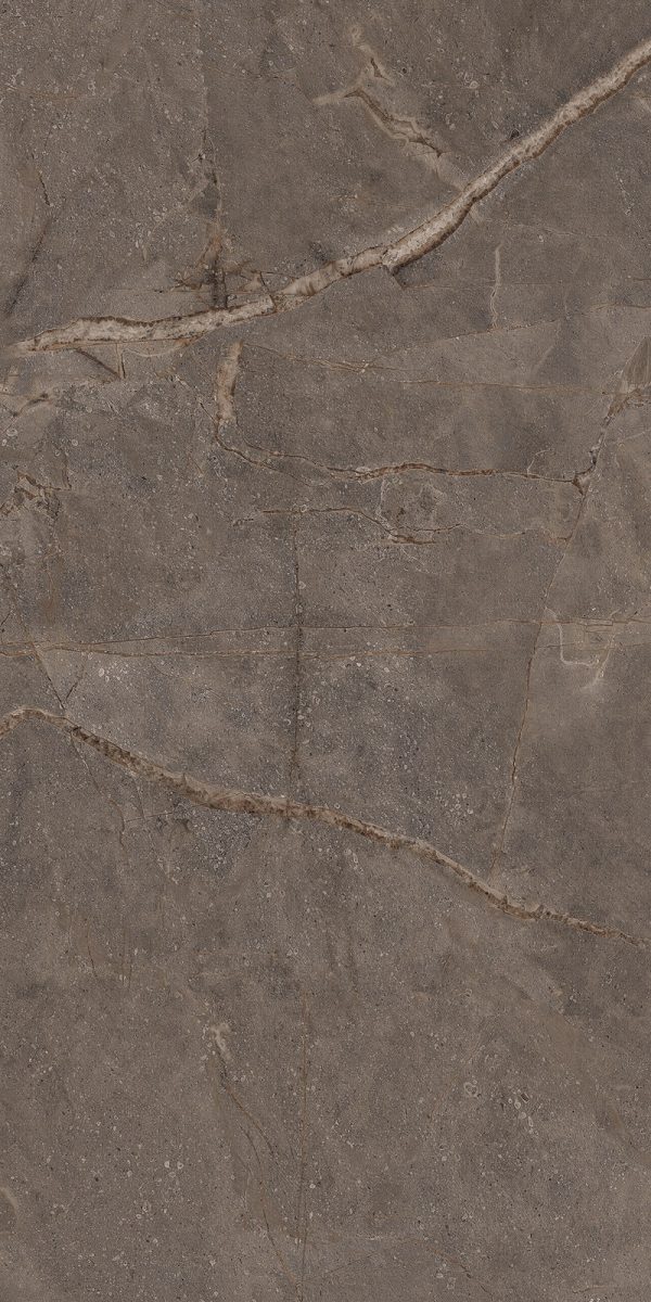КЕРАМОГРАНИТ REALISTIK MIA DARK SUGAR CARVING 60X120 — изображение 3