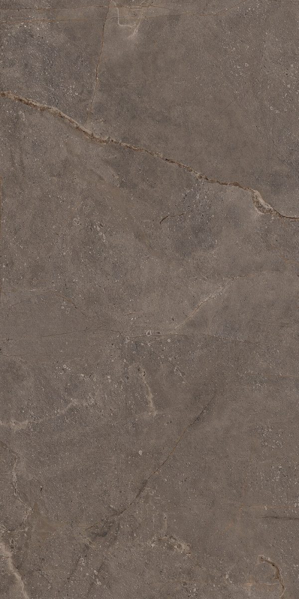КЕРАМОГРАНИТ REALISTIK MIA DARK SUGAR CARVING 60X120 — изображение 5