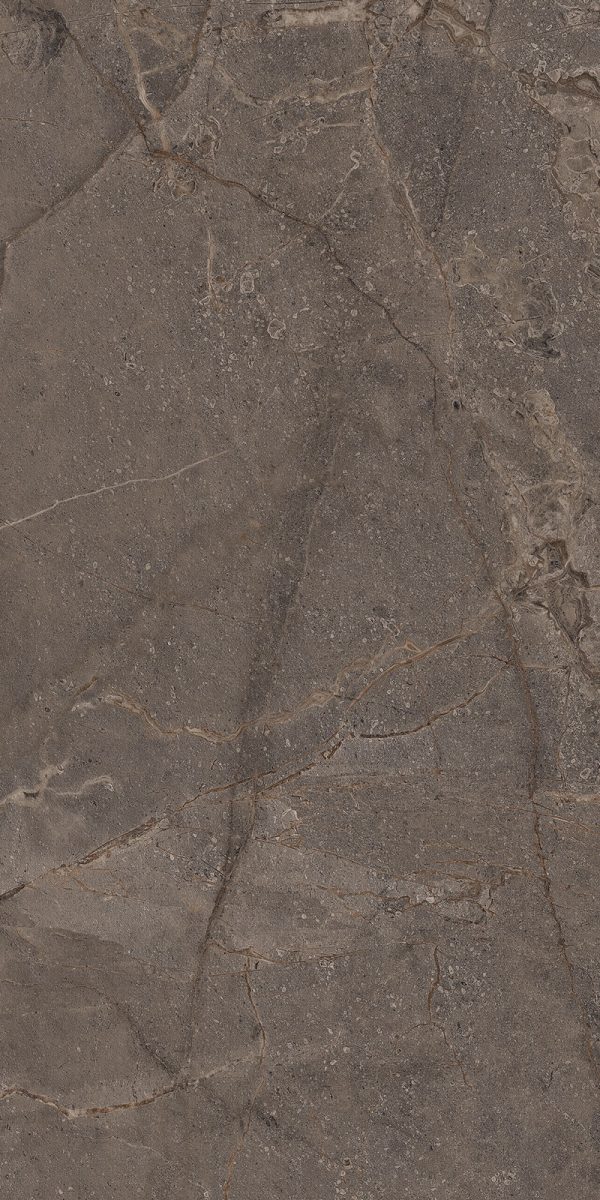 КЕРАМОГРАНИТ REALISTIK MIA DARK SUGAR CARVING 60X120 — изображение 6