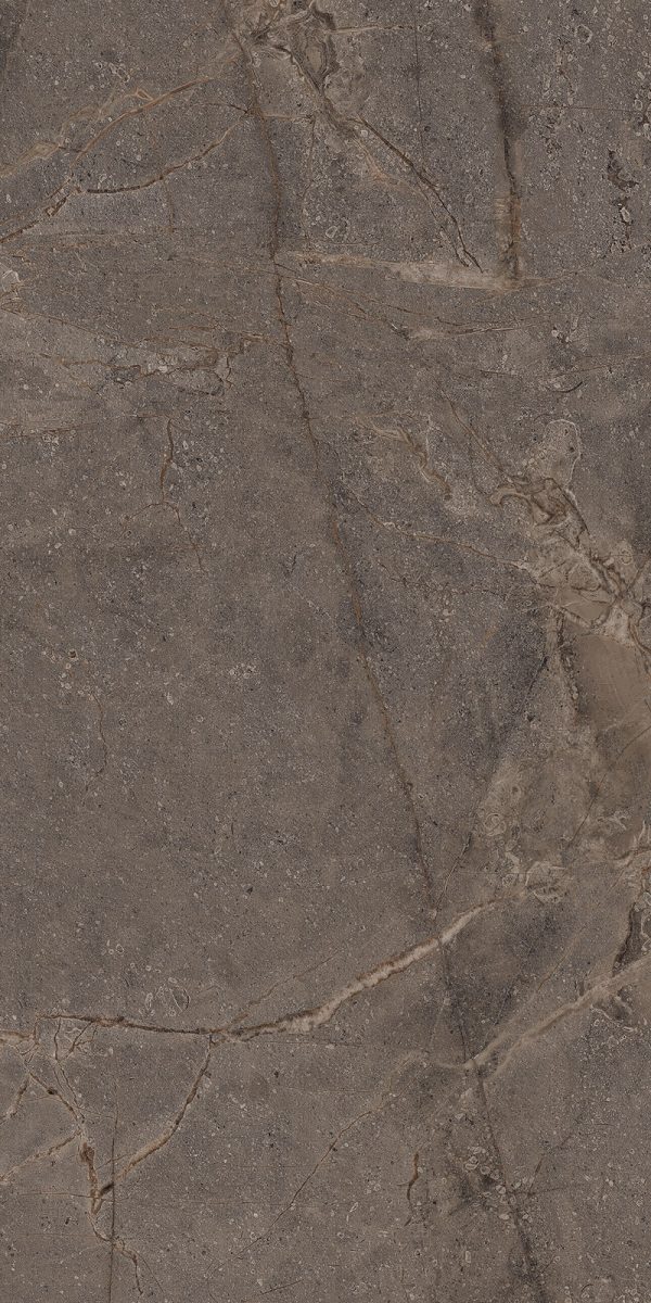 КЕРАМОГРАНИТ REALISTIK MIA DARK SUGAR CARVING 60X120 — изображение 8