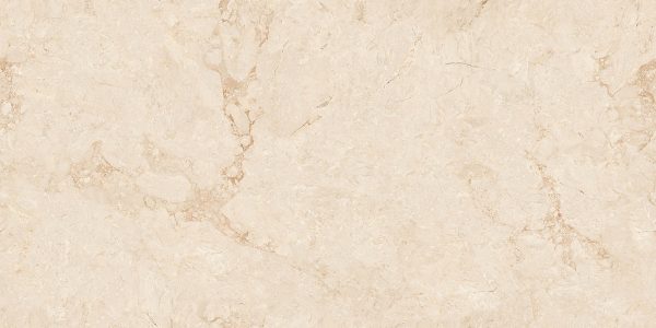 КЕРАМОГРАНИТ REALISTIK INFINITY VENON BONE ENDLESS CARVING 80X160 (2,56) — изображение 4