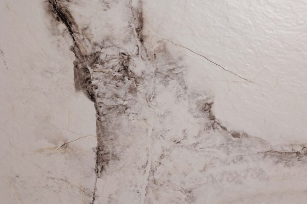 КЕРАМОГРАНИТ REALISTIK CLEO WHITE STONELO CARVING 60X120 — изображение 2