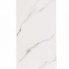 КЕРАМОГРАНИТ REALISTIK ALBETA STATUARIO 60X120 — изображение 9