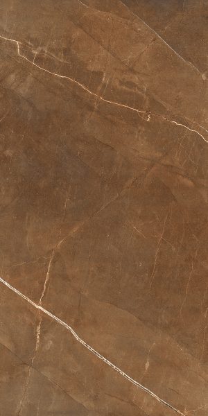 КЕРАМОГРАНИТ REALISTIK NATURE PULPIS BROWN 60X120