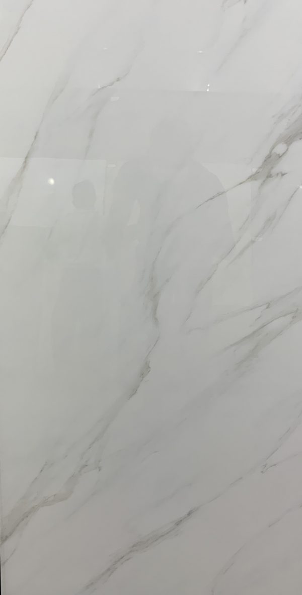 КЕРАМОГРАНИТ REALISTIK ANTIC WHITE SUGAR CARVING 60X120 — изображение 6