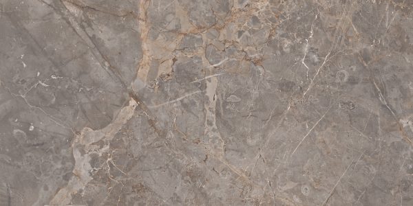 КЕРАМОГРАНИТ REALISTIK MILTONIA GREY 60X120 — изображение 2