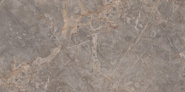 КЕРАМОГРАНИТ REALISTIK MILTONIA GREY 60X120 — изображение 3