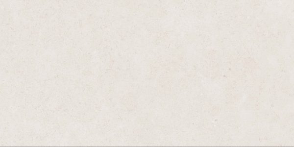 КЕРАМОГРАНИТ REALISTIK MISTIC LIGHT GREY GLOSS 60X120 (1,44) — изображение 2