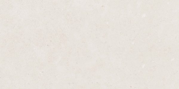 КЕРАМОГРАНИТ REALISTIK MISTIC LIGHT GREY GLOSS 60X120 (1,44) — изображение 5