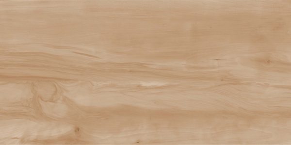 КЕРАМОГРАНИТ REALISTIK PAINT WOOD BONE GLOSS 60X120 (1,44)