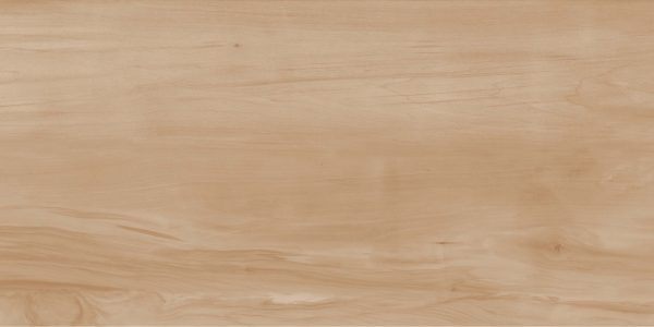 КЕРАМОГРАНИТ REALISTIK PAINT WOOD BONE GLOSS 60X120 (1,44) — изображение 2
