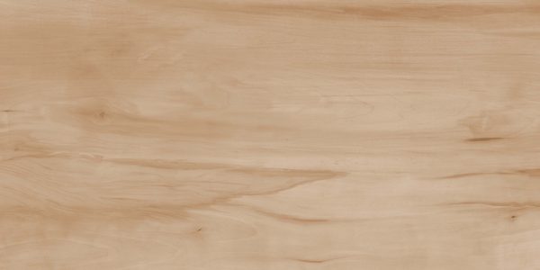 КЕРАМОГРАНИТ REALISTIK PAINT WOOD BONE GLOSS 60X120 (1,44) — изображение 3