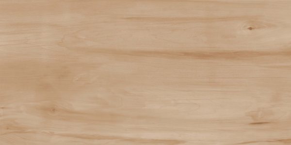 КЕРАМОГРАНИТ REALISTIK PAINT WOOD BONE GLOSS 60X120 (1,44) — изображение 4