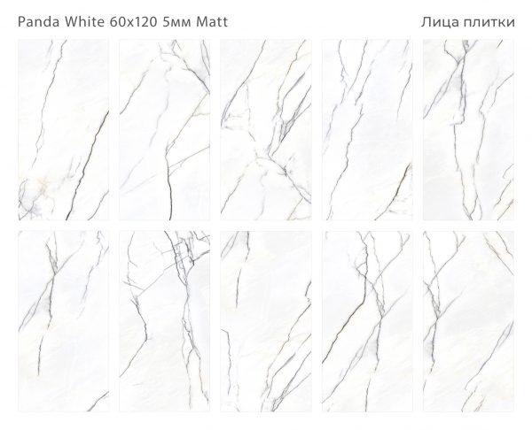 КЕРАМОГРАНИТ МАТОВЫЙ MARBLES PANDA WHITE 60Х120 5ММ MATT — изображение 3