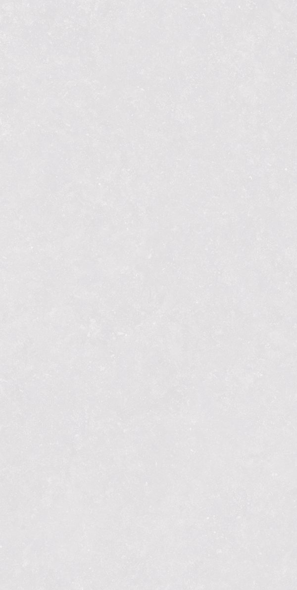 КЕРАМОГРАНИТ REALISTIK PIERRE BIANCO GREEZO R11 60X120 — изображение 9