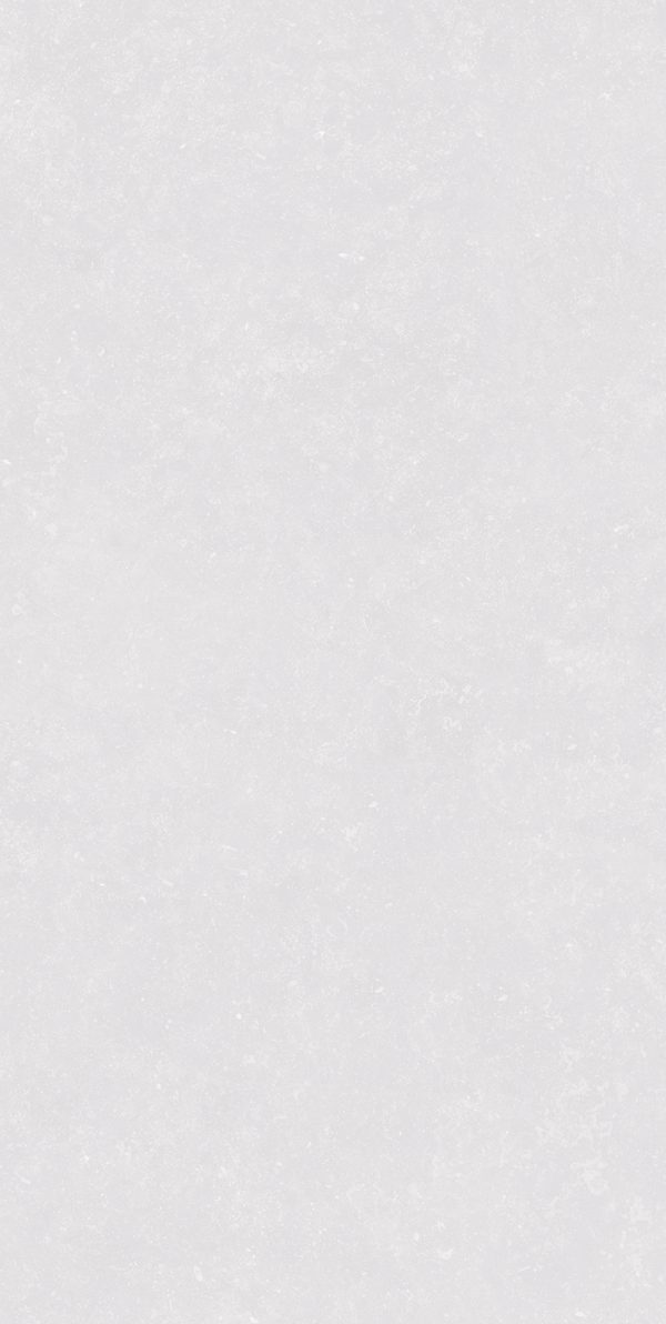 КЕРАМОГРАНИТ REALISTIK PIERRE BIANCO GREEZO R11 60X120 — изображение 6