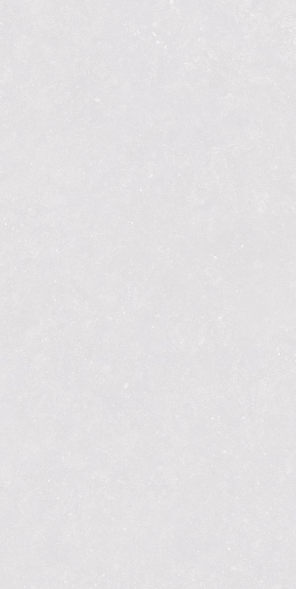 КЕРАМОГРАНИТ REALISTIK PIERRE BIANCO GREEZO R11 60X120 — изображение 5
