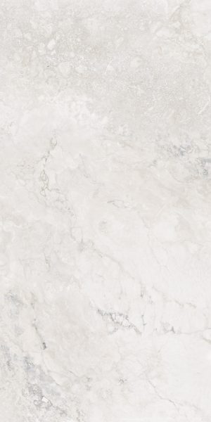 КЕРАМОГРАНИТ REALISTIK EVA BLANCO STONELO CARVING 60X120