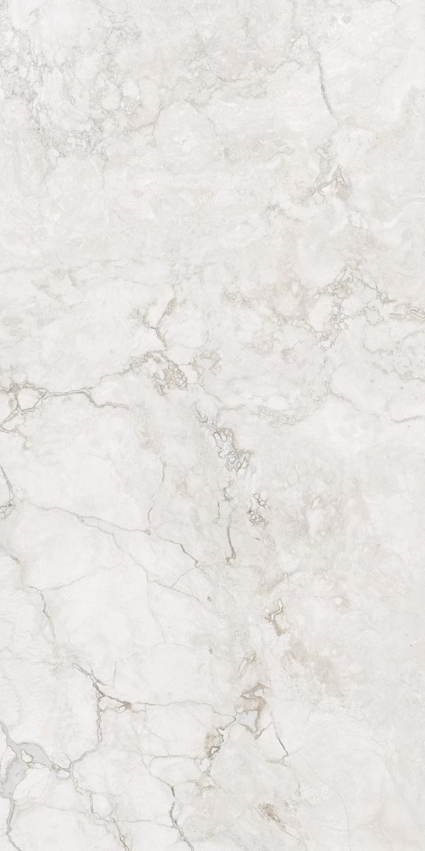 КЕРАМОГРАНИТ REALISTIK EVA BLANCO STONELO CARVING 60X120 — изображение 5