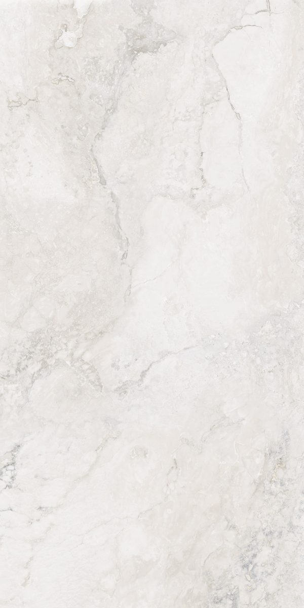 КЕРАМОГРАНИТ REALISTIK EVA BLANCO STONELO CARVING 60X120 — изображение 3