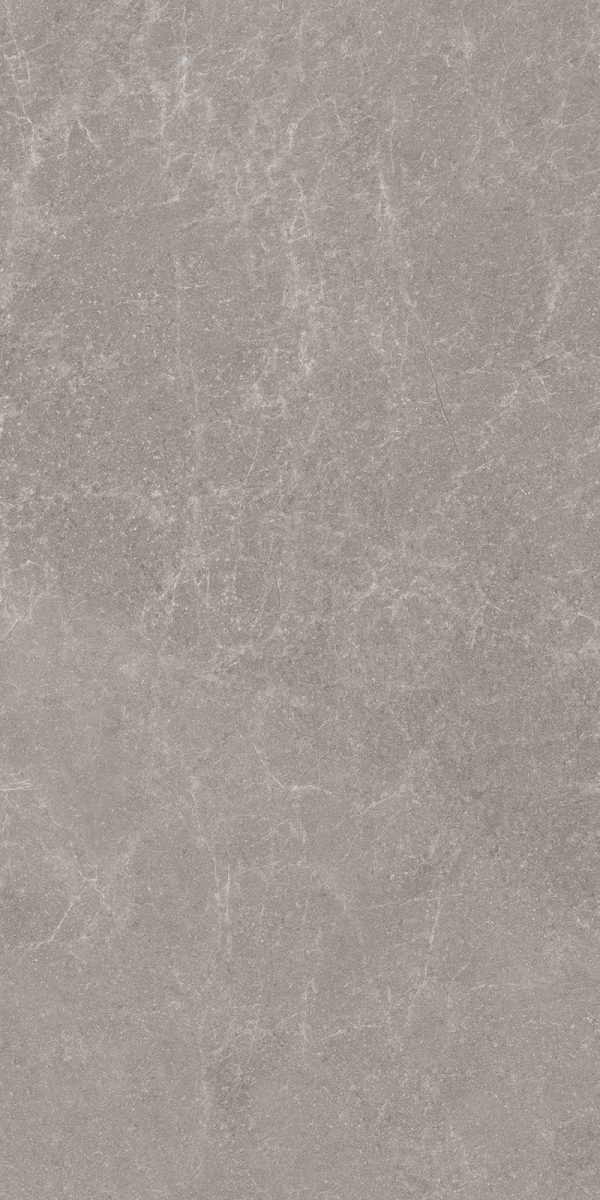 КЕРАМОГРАНИТ REALISTIK MADISON MOCA SUGAR CARVING 60X120 — изображение 2