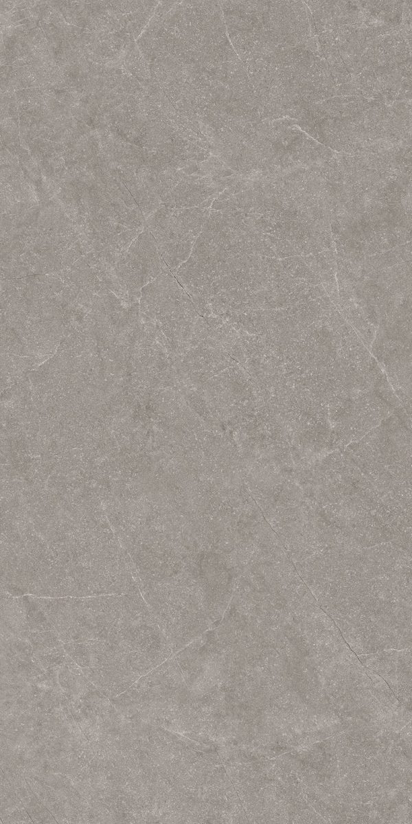 КЕРАМОГРАНИТ REALISTIK MADISON MOCA SUGAR CARVING 60X120 — изображение 5