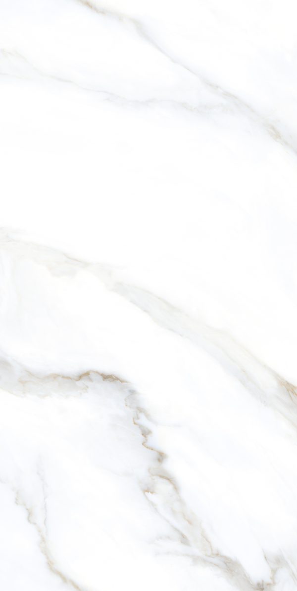 КЕРАМОГРАНИТ REALISTIK CLEAR WHITE GRIT GRANULA 60X120 — изображение 6