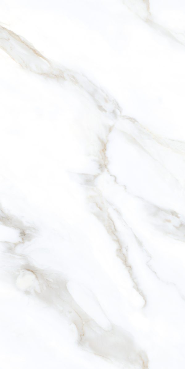 КЕРАМОГРАНИТ REALISTIK CLEAR WHITE GRIT GRANULA 60X120 — изображение 5