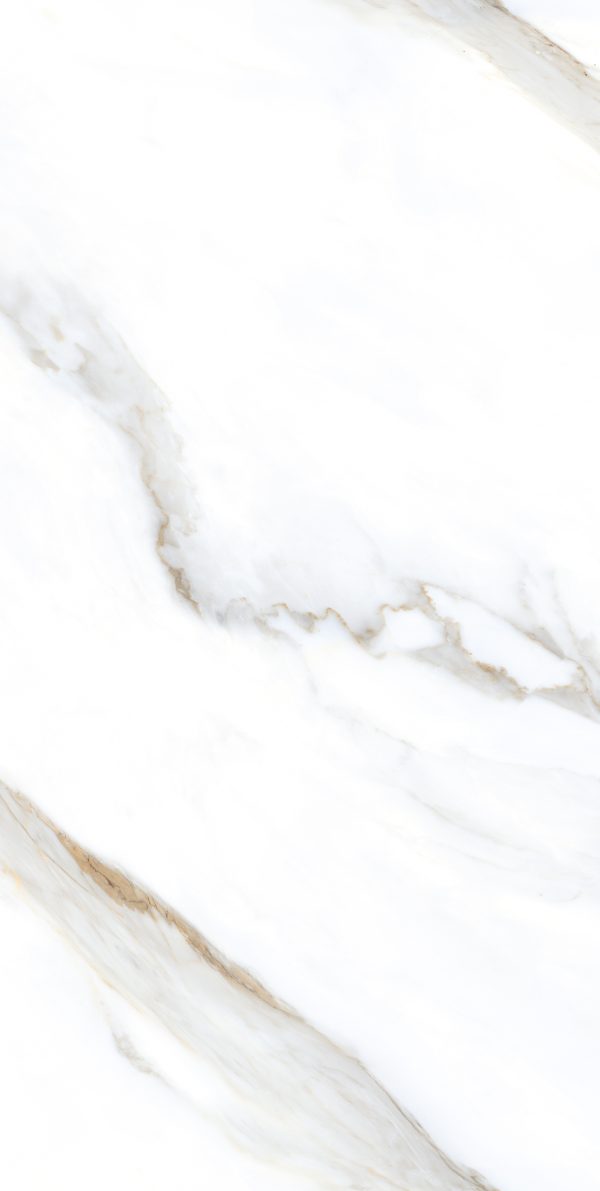 КЕРАМОГРАНИТ REALISTIK CLEAR WHITE GRIT GRANULA 60X120 — изображение 4