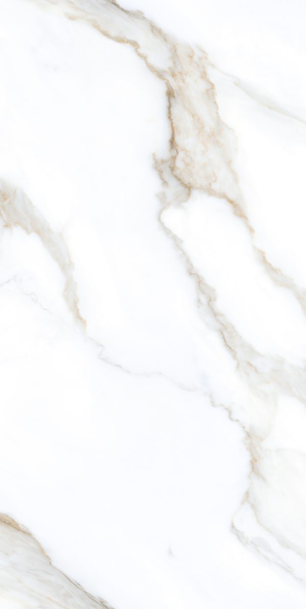 КЕРАМОГРАНИТ REALISTIK CLEAR WHITE GRIT GRANULA 60X120 — изображение 2