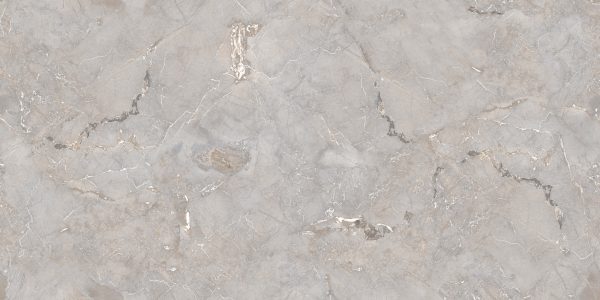 КЕРАМОГРАНИТ REALISTIK RS ENDLESS 001 GREY CARVING 60X120 (1,44) — изображение 4