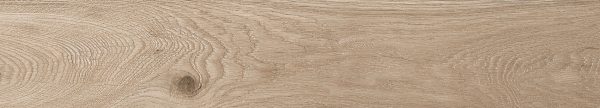 КЕРАМОГРАНИТ REALISTIK SAVANNA NATURAL MATT 20X120 (1,20) — изображение 6