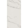 КЕРАМИЧЕСКАЯ ПЛИТКА SENSI STATUARIO WHITE LUX+ RET	30X60 — изображение 5