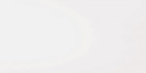 COLORES BLANCO MATE 60X120