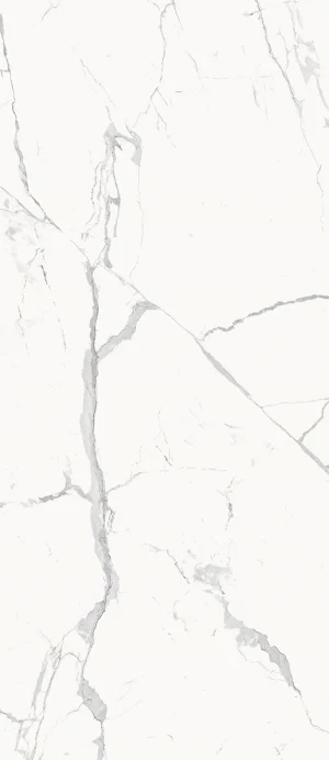 STE.STATUARIO WHITE 120X278