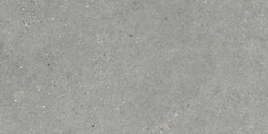 MITICA GRIS 60X120 REC.