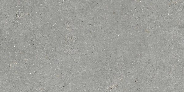 MITICA GRIS 60X120 REC.