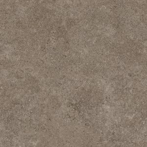 PORFIDO BROWN 120X120 5,6