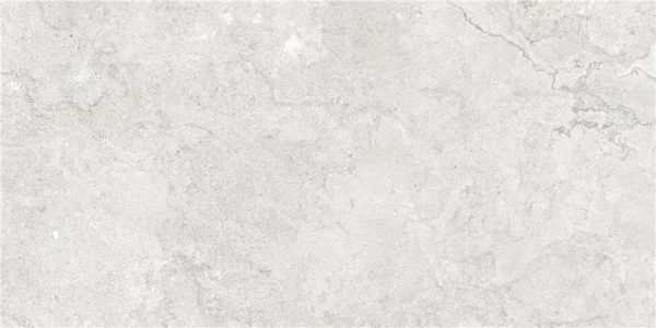 GOBI PEARL MT 60X120 RECT (S-TECH)