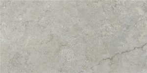 GOBI NATURAL MT 60X120 RECT (S-TECH)