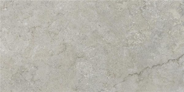GOBI NATURAL MT 60X120 RECT (S-TECH)
