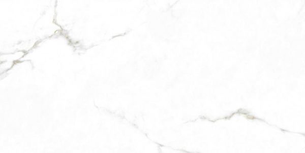 Monopole Augusta Gold 59×119